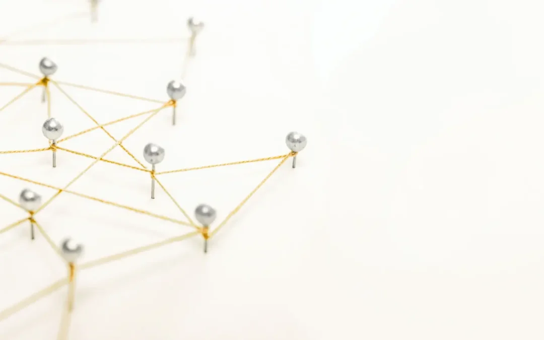 Netlinking pour TPE : Les étapes pour gagner en visibilité